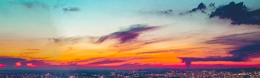 巴中茶虫网_巴中品茶